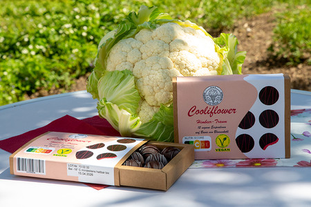 Die vegane Eispraline auf Blumenkohlbasis „Cooliflower“ zeichnet sich durch ihre innovative Formulierung und ihr beeindruckendes Nährwertprofil aus.